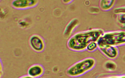 2022, une année riche en projets et en collaboration